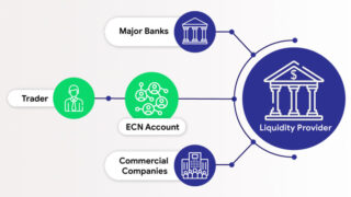 海外FX業者のECNとSTP口座