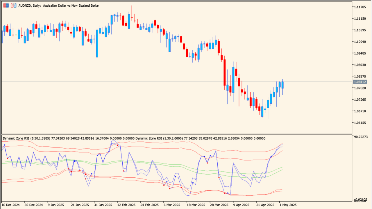 dynamic-zone-rsi