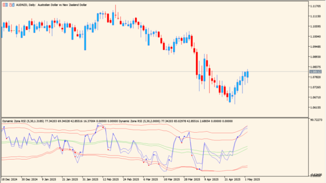 dynamic-zone-rsi