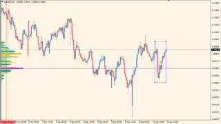 tpo2インジケーター