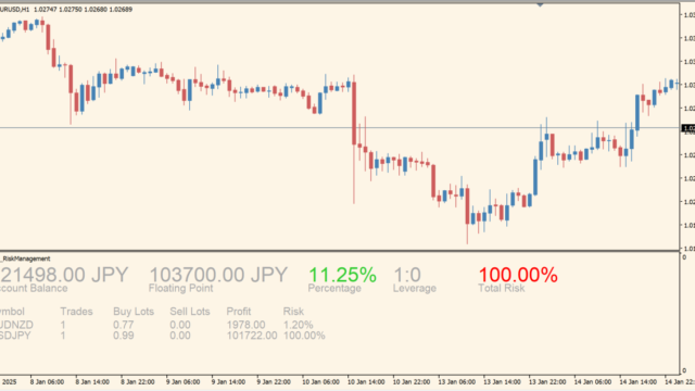 C12_RiskManagement