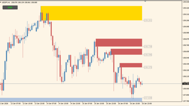 ENTRY ZONE SNR BUTTON