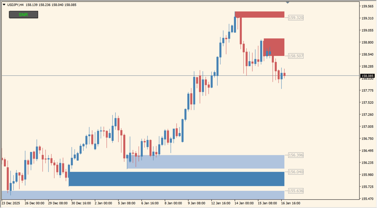 ENTRY ZONE SNR BUTTON