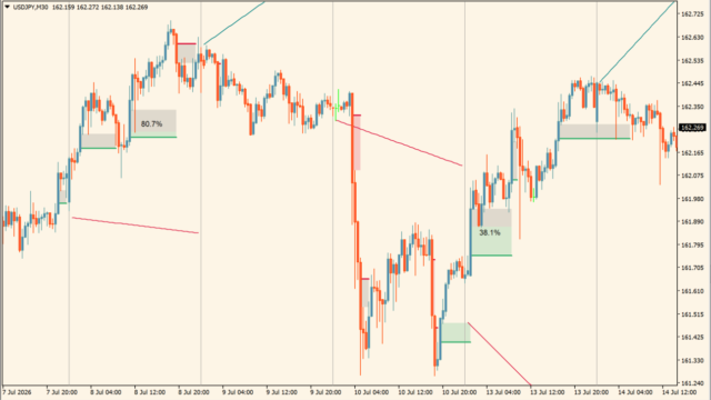 Fair Value Gap Absorption Indicator