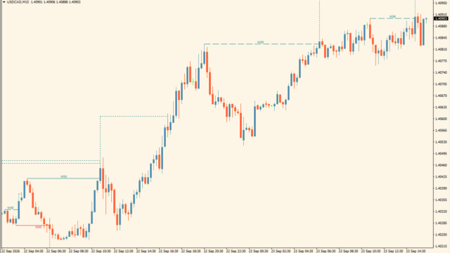 Market Structure Targets Model